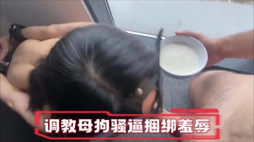 调教母狗一边吃鸡一边喝豆浆